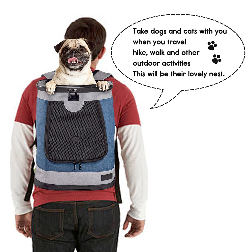 Person carrying custom pet carrier backpack with small dog inside